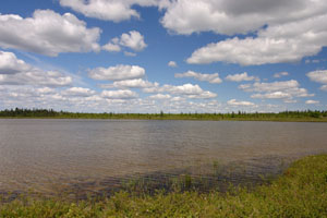 Kvichak tundra pond